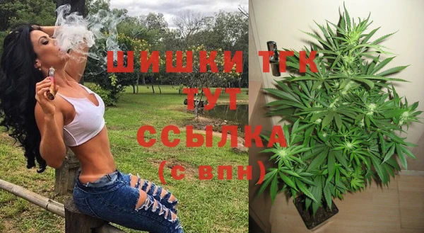 дурь Алексин