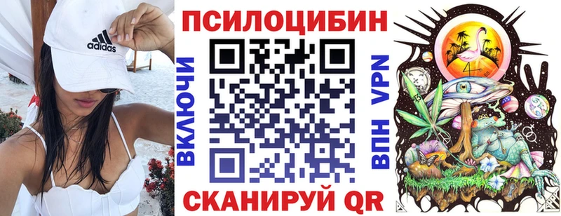 Псилоцибиновые грибы мицелий  Инта 